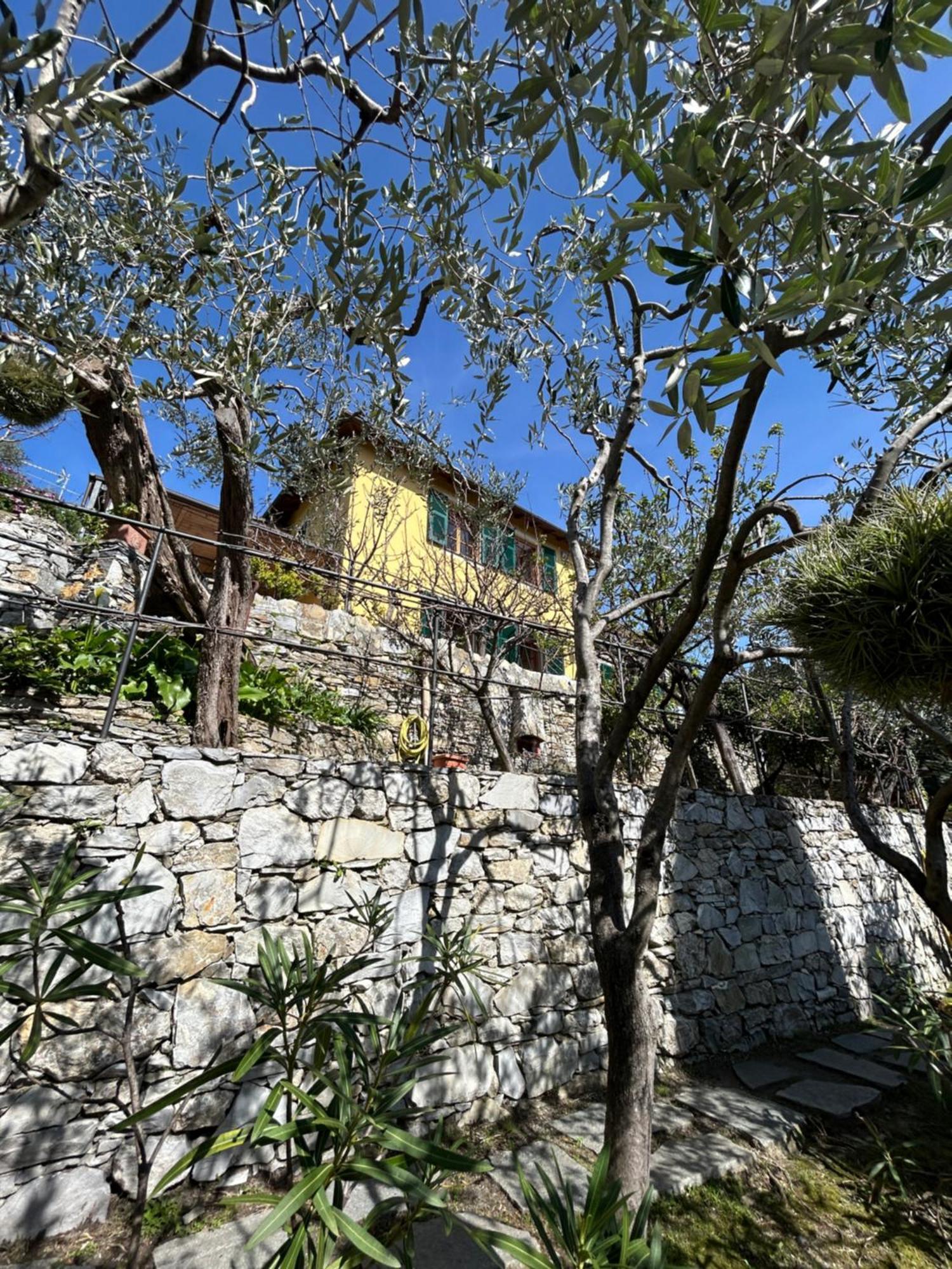 L'Alcova Tra Gli Ulivi By Portofinovacanze Zoagli Exterior photo